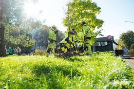 ЖКГ та благоустрій